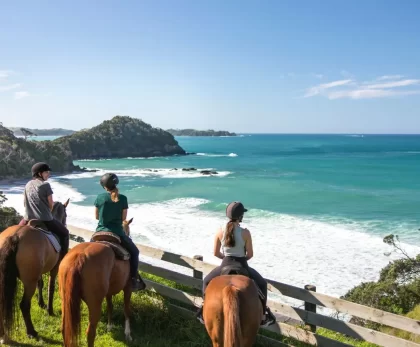 10 Reasons why you should experience New Zealand