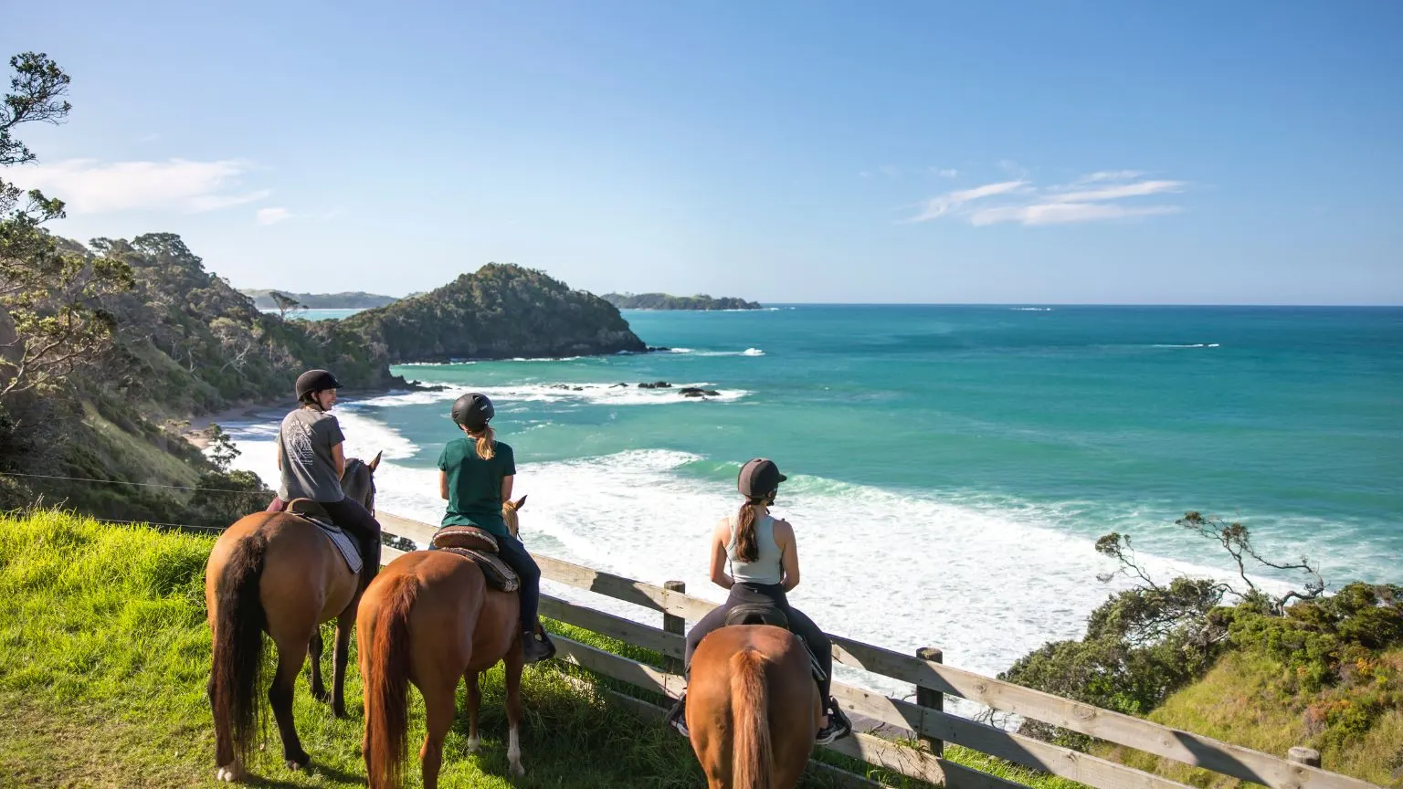 10 Reasons why you should experience New Zealand 1 10 Reasons why you should experience New Zealand