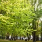 Add a new flavor to your vacation. Visit Arrowtown 2 Add a new flavor to your vacation. Visit Arrowtown