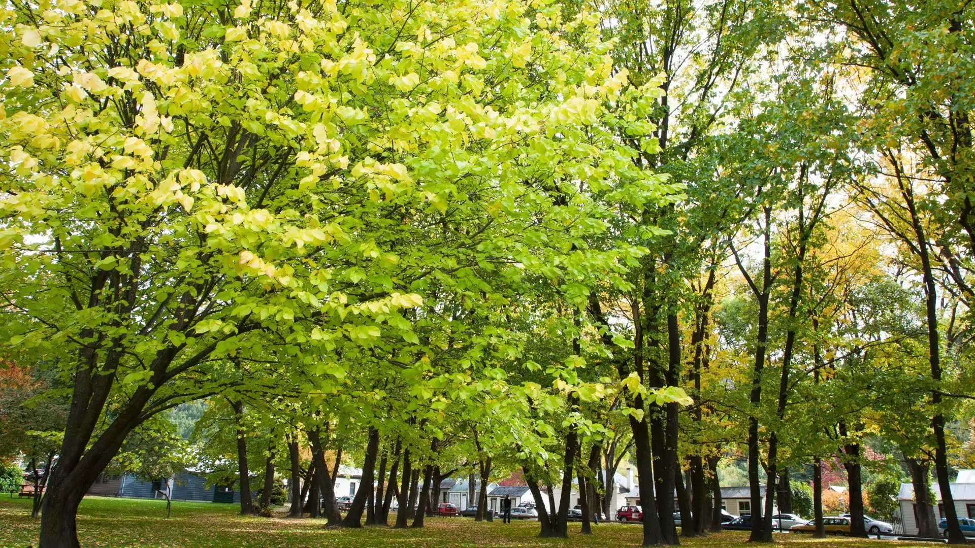 Add a new flavor to your vacation. Visit Arrowtown 1 Add a new flavor to your vacation. Visit Arrowtown