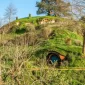 The mystical city of Matamata invites you 2 The mystical city of Matamata invites you