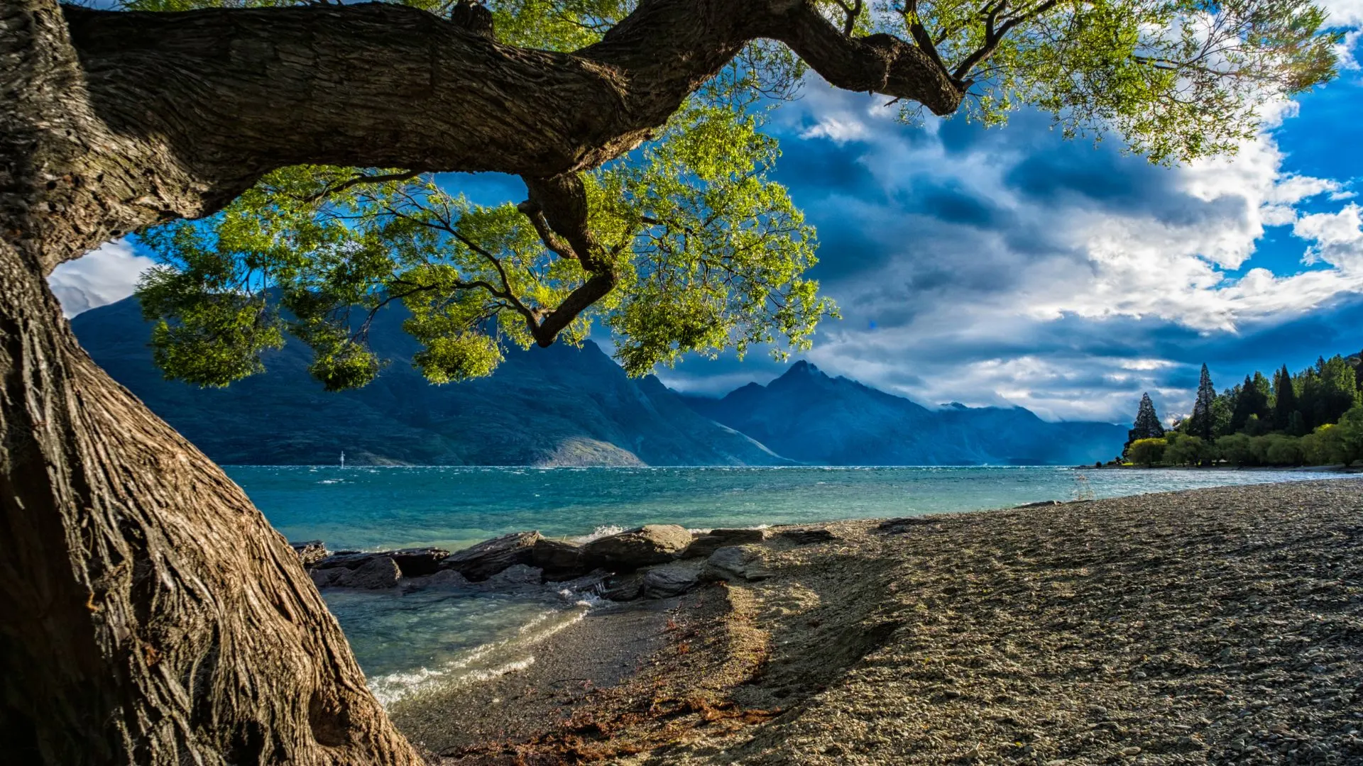 How to Visit South Island in 2 week - New Zealand 1 How to Visit South Island in 2 week - New Zealand