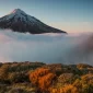 The soulful beauty of Taranaki welcomes you