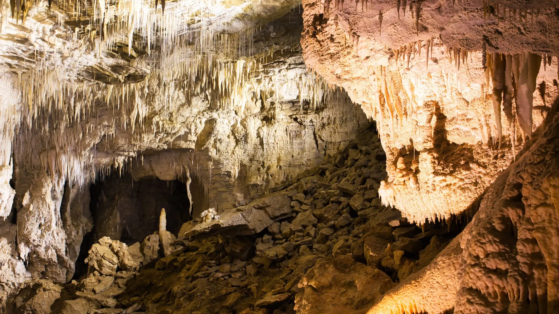 Why Waitomo is best for you!! 1 Why Waitomo is best for you!!