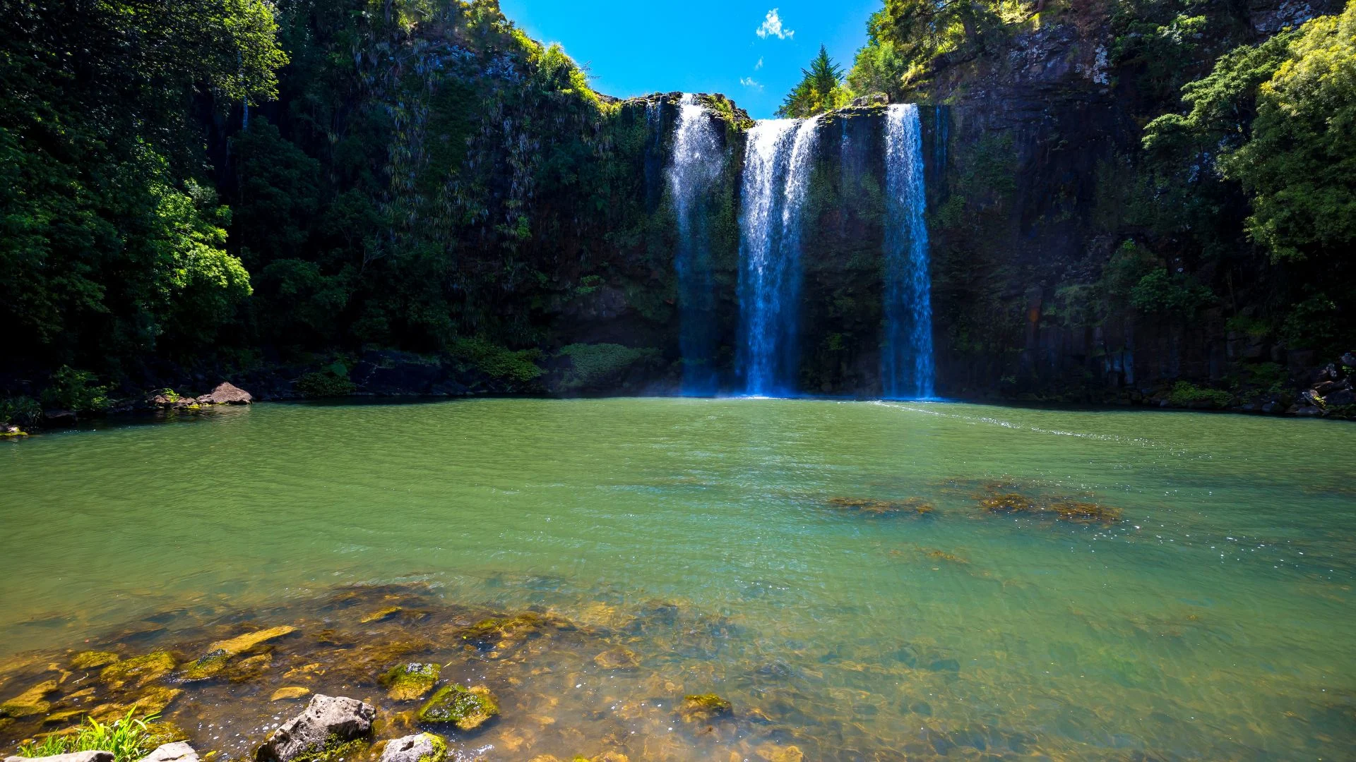 Visit the city of 100 beaches, Whangarei in New Zealand 1 Visit the city of 100 beaches, Whangarei in New Zealand