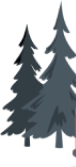 Guidelines 6 Shape Image