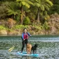 Discover the Magic of Lake Rotorua: Top Attractions & Activities 4 Discover Lake Rotorua Blog Image