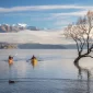 Top Things to Do at Lake Wanaka: Adventure, Relaxation, and Natural Wonders 4 Lake Wanaka Blog Image