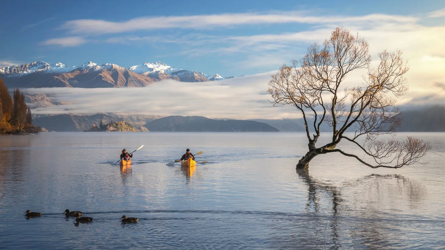 Top Things to Do at Lake Wanaka: Adventure, Relaxation, and Natural Wonders 1 Lake Wanaka Blog Image