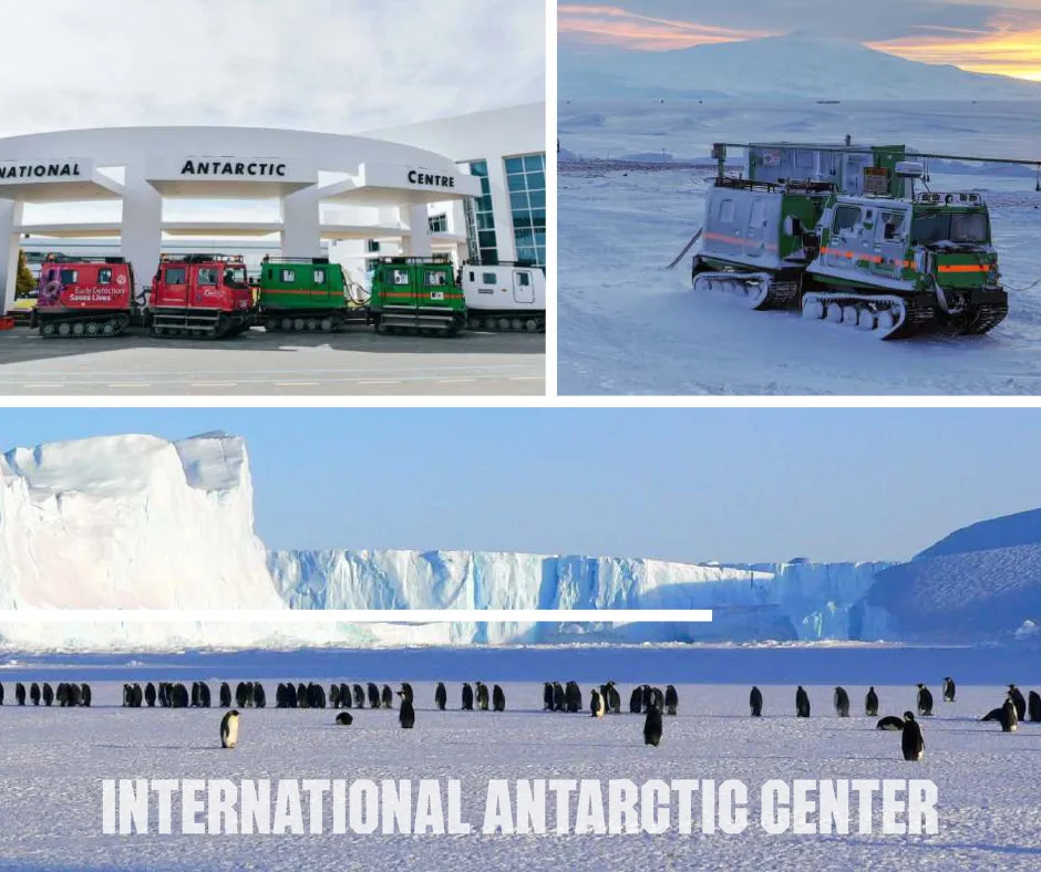 Explore the International Antarctic Centre: Top Family Adventure in Christchurch