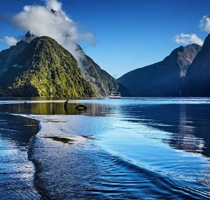 Guidelines 7 Milford Sound Cruise New Zealand