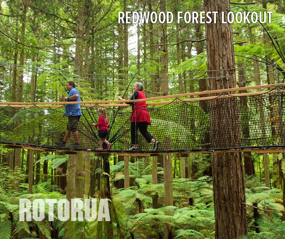 Rotorua Redwood Forest Lookout