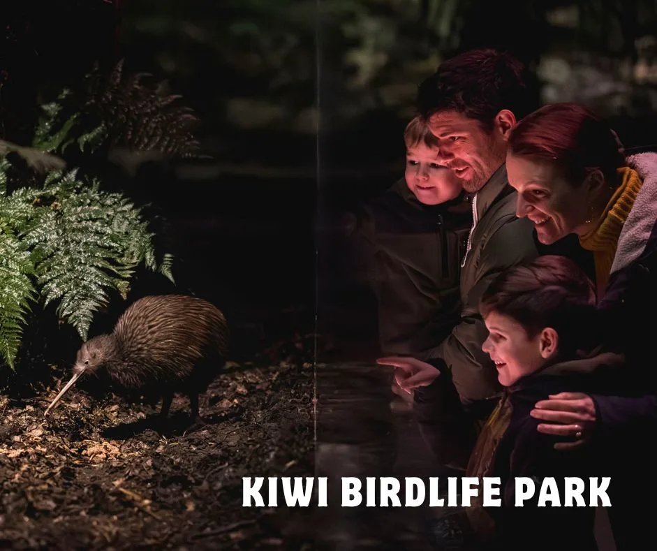 Kiwi Birdlife Park